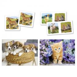 SuperKit Animales - Imagen 2