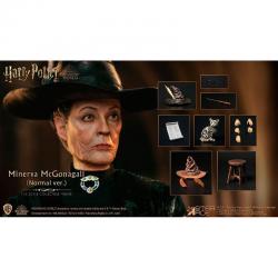 Figura Minerva McGonagall Harry Potter 29cm - Imagen 1
