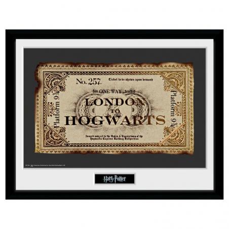 Foto marco Ticket Harry Potter - Imagen 1