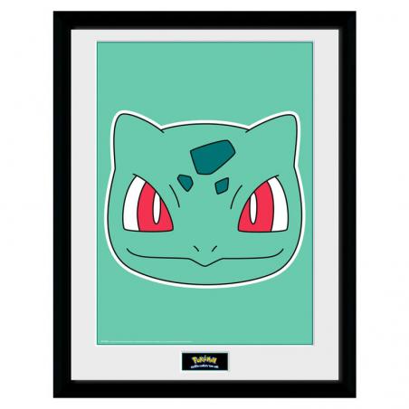 Foto marco Bulbasaur Face Pokemon - Imagen 1