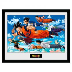 Foto marco Flying Dragon Ball Super - Imagen 1
