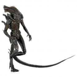 Figura Alien Xenomorph 23cm - Imagen 2