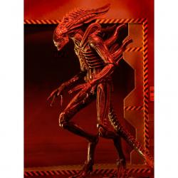 Figura Alien Xenomorph 23cm - Imagen 3