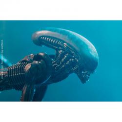 Figura Exquisite Mini Dog Alien Look Up Alien 3 10cm - Imagen 2