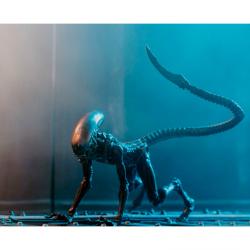 Figura Exquisite Mini Dog Alien Look Up Alien 3 10cm - Imagen 4
