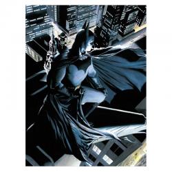 Poster cristal Batman DC Comics - Imagen 1
