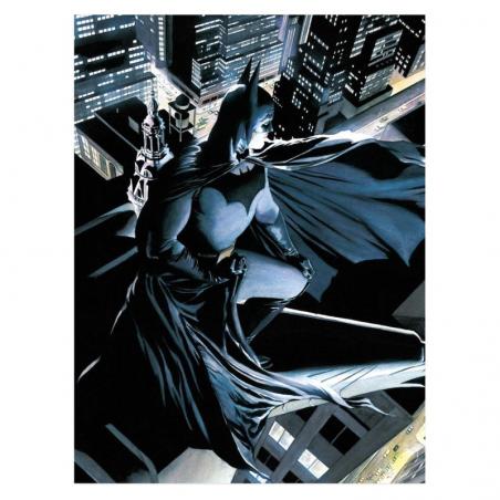 Poster cristal Batman DC Comics - Imagen 1