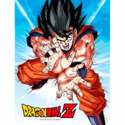 Poster cristal Goku Kame Dragon Ball Z - Imagen 1