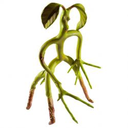 Figura maleable Bowtruckle Animales Fantasticos 18cm - Imagen 1