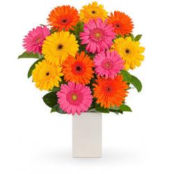 PRUEBA_GESIO_02 - Imagen 2