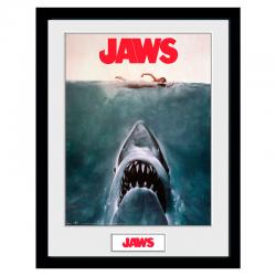 Foto marco Key Art Tiburon - Imagen 1