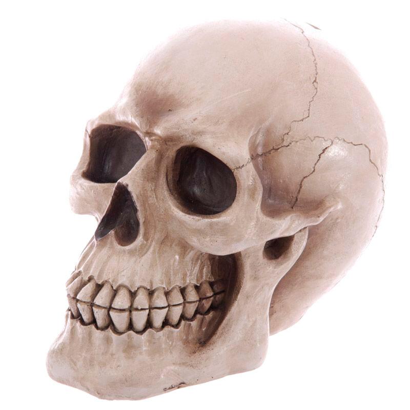 Hucha Calavera - Imagen 1