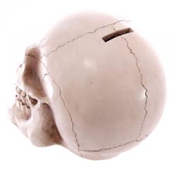 Hucha Calavera - Imagen 2