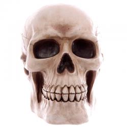 Hucha Calavera - Imagen 4