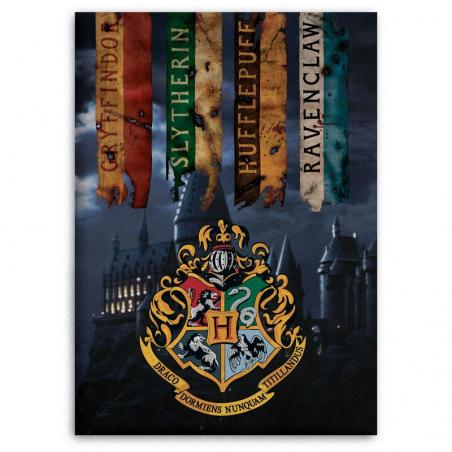 Manta polar Hogwarts Harry Potter - Imagen 1