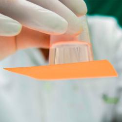 La Ciencia Increible del Hormiguero - Imagen 6